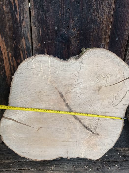 Plastry jesion, jawor