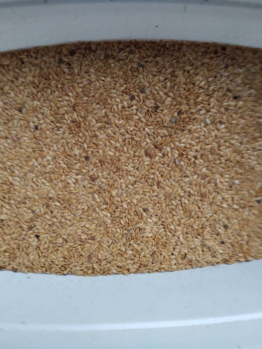 Пропоную зерна льону для тих...