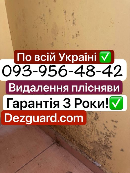 ‼️Видалення плісняви , Видалення грибка з гарантіею