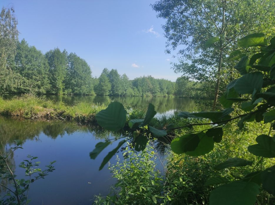 Zdjęcie 7