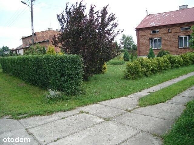 Dom z ogrodem Żelazowa Wola