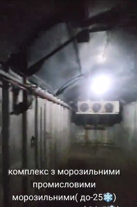 Оренда комплексу з холодильниками під розробку м'яса