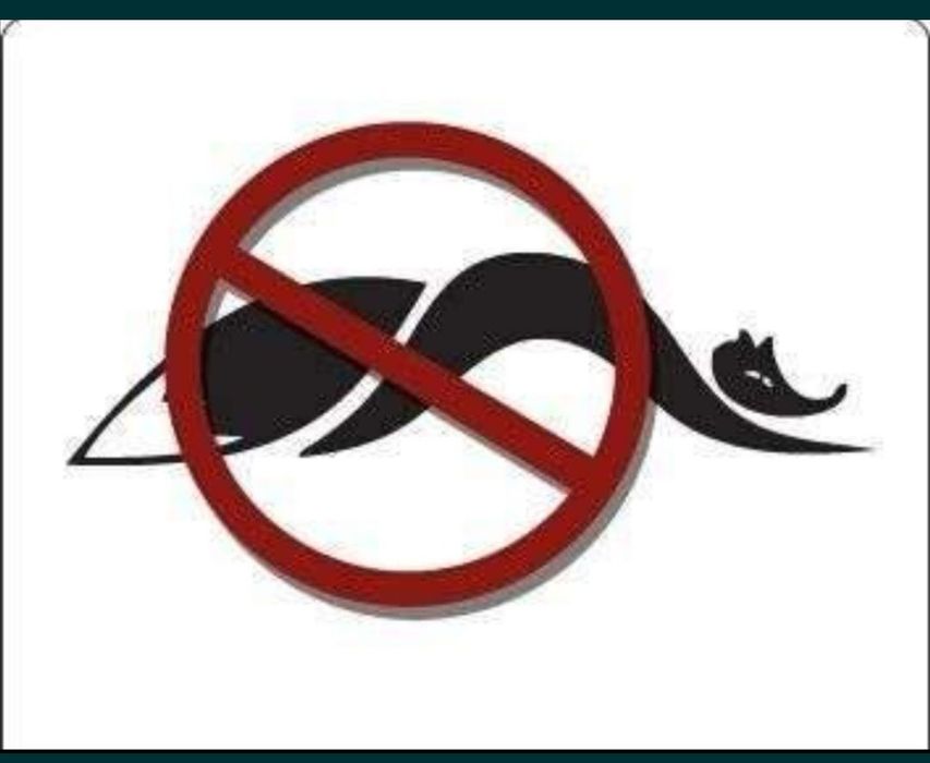 Samochodowy odstraszacz kun i gryzoni - gwarancja skuteczności!