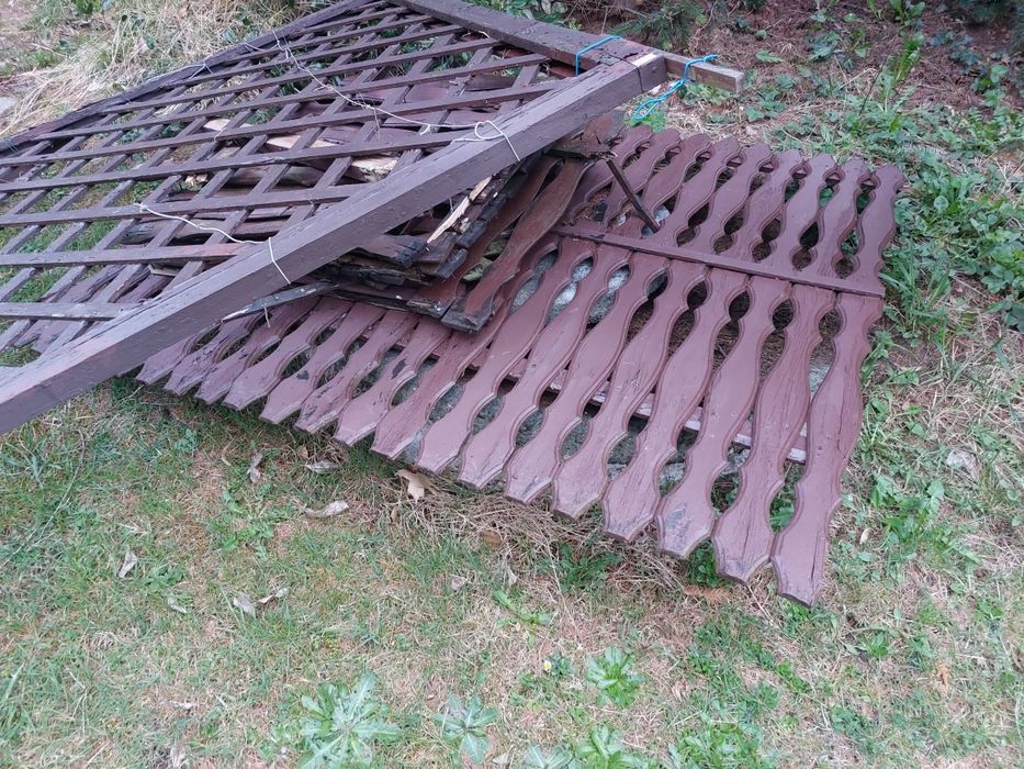 Drzewo za darmo_na rozpałkę