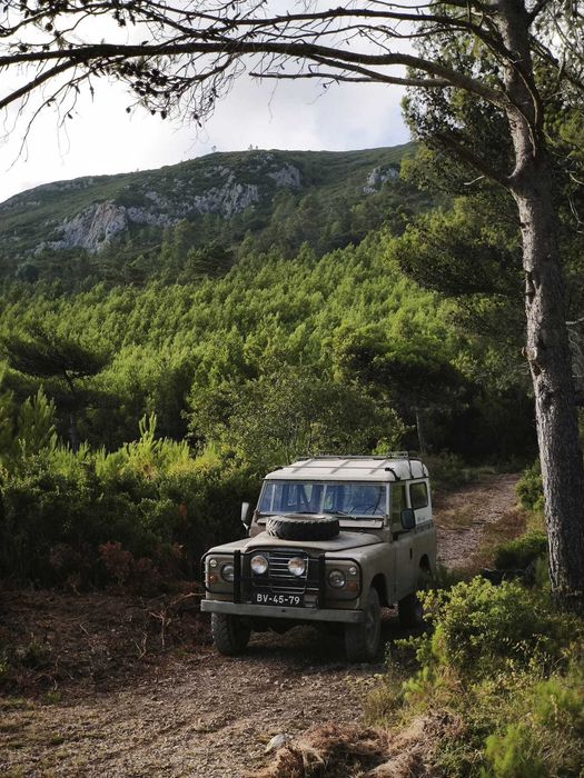 Land Rover Série III 88 (1980)  – Funcional, com IPO em Dia + 5 Pneus Extra