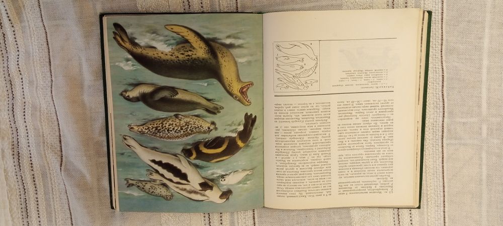 Комплектиз двух книг - Жизнь животных .тома 5 и 6 . Москва 1970 . 1971 г.