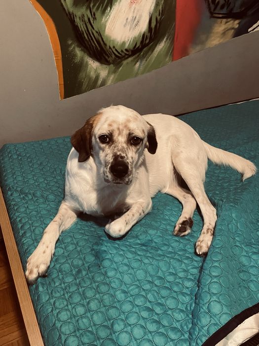 Mae & filho (ADOÇÃO URGENTE)