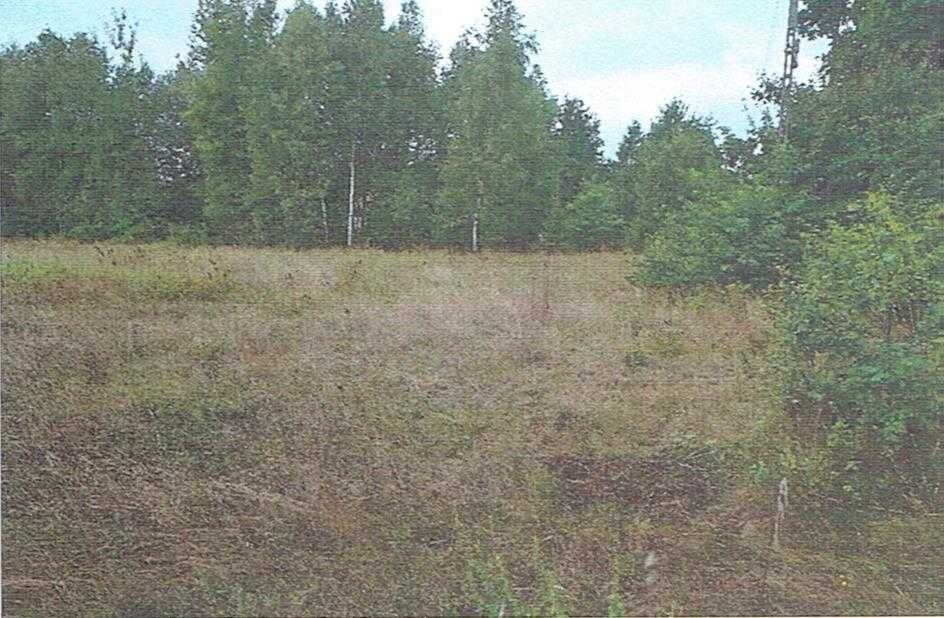 syndyk ogłasza przetarg - nieruchomość Ożarowice