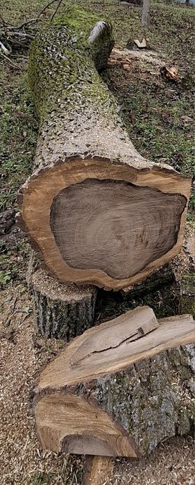 Продам кругляк великого горіха