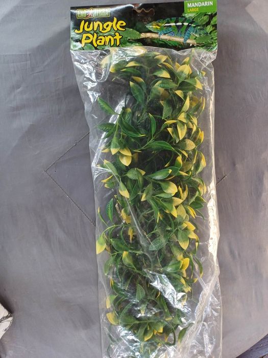 Rośliny do terrarium Exoterra  (NOWE)