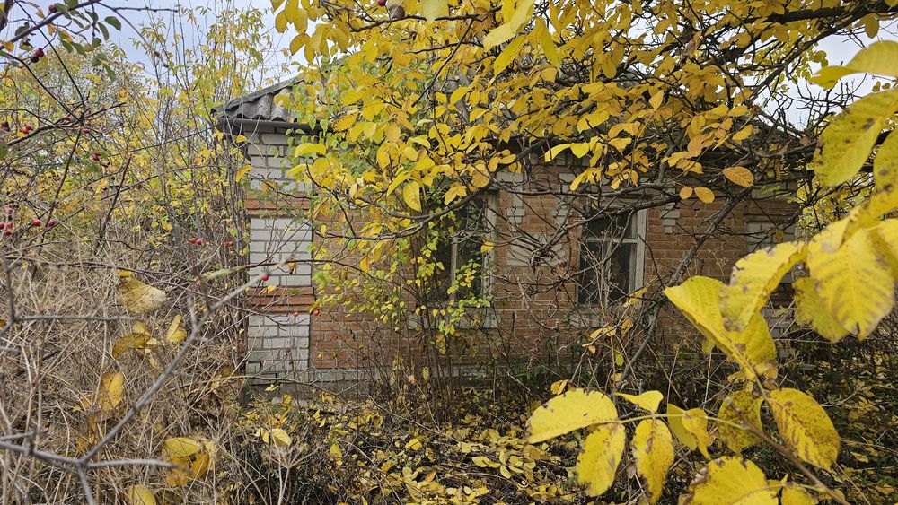 Продам будинок Новопавлівка