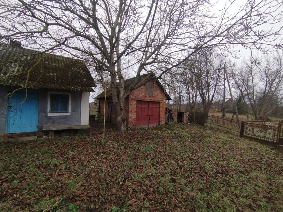 Будинок в селі Древині