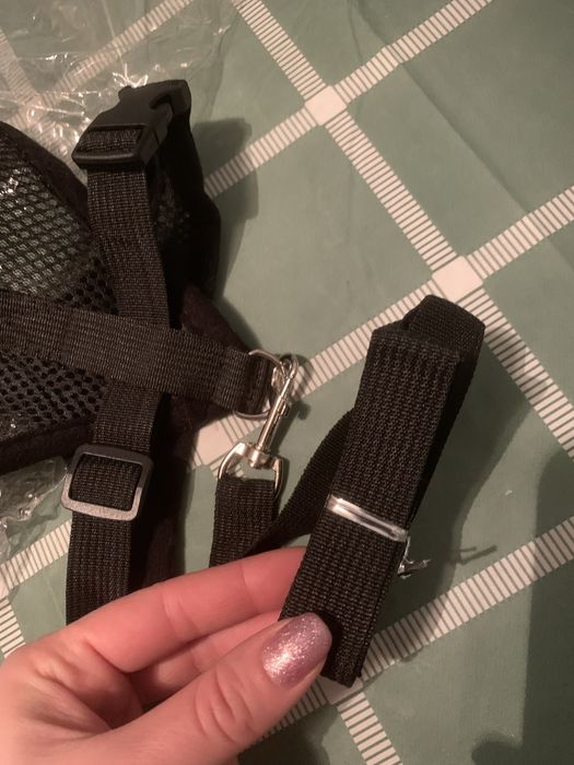 Новая шлейка с поводком для кота