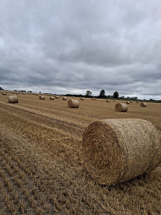 Słoma 2025 z dowozem do gospodarstawa