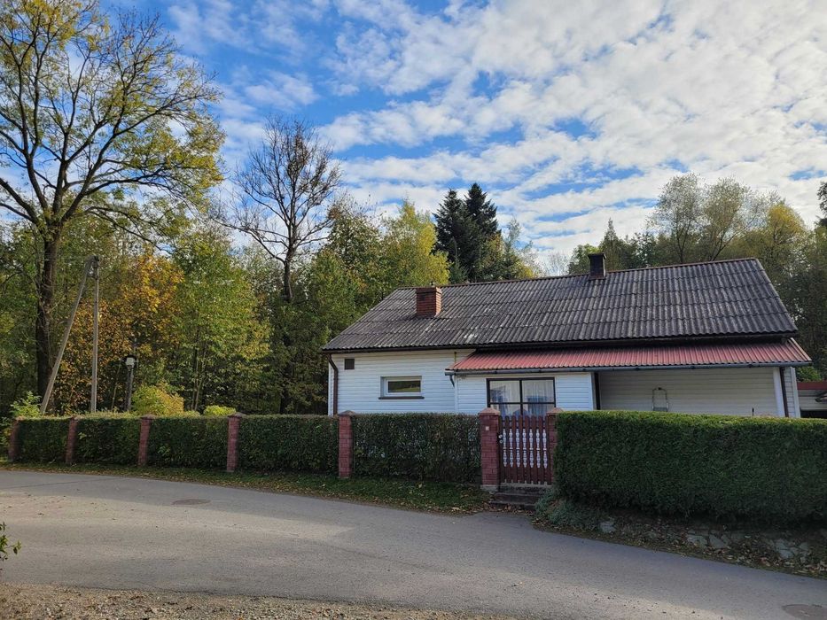 Do wynajęcia dom z ogrodem na wsi