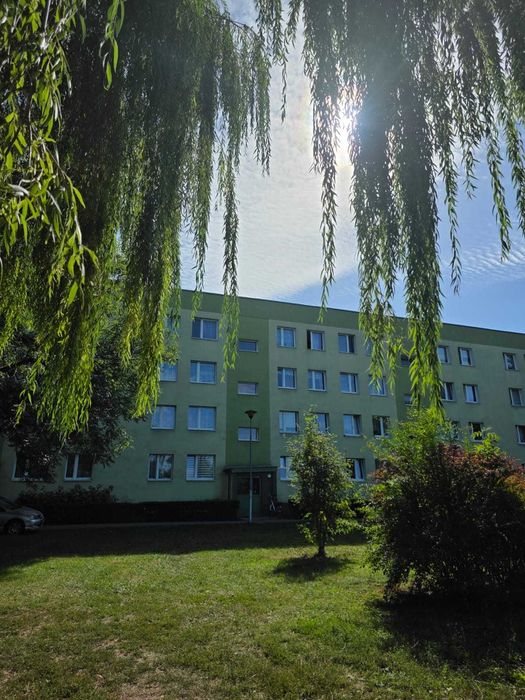 Mieszkanie – Zamość - Więcej
