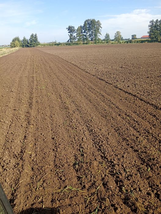 Grunt Ziemia rolna działka Piotrowice gmina Warta 3.08 ha