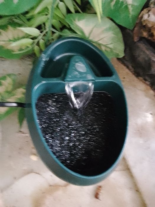 Поїлка фонтан для рептилій