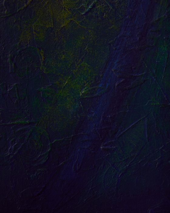 Obraz akrylowy 50x70cm