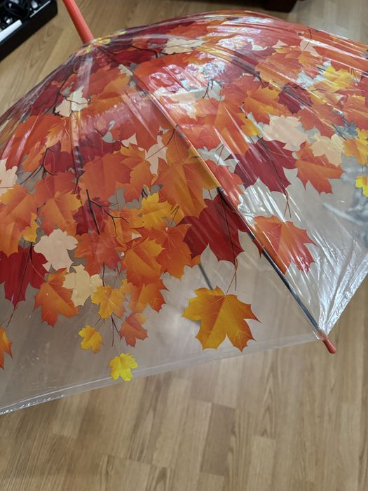 Зонтик полупрозрачный