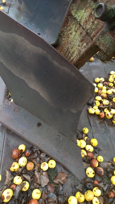 Продам 4-х корпусний плуг