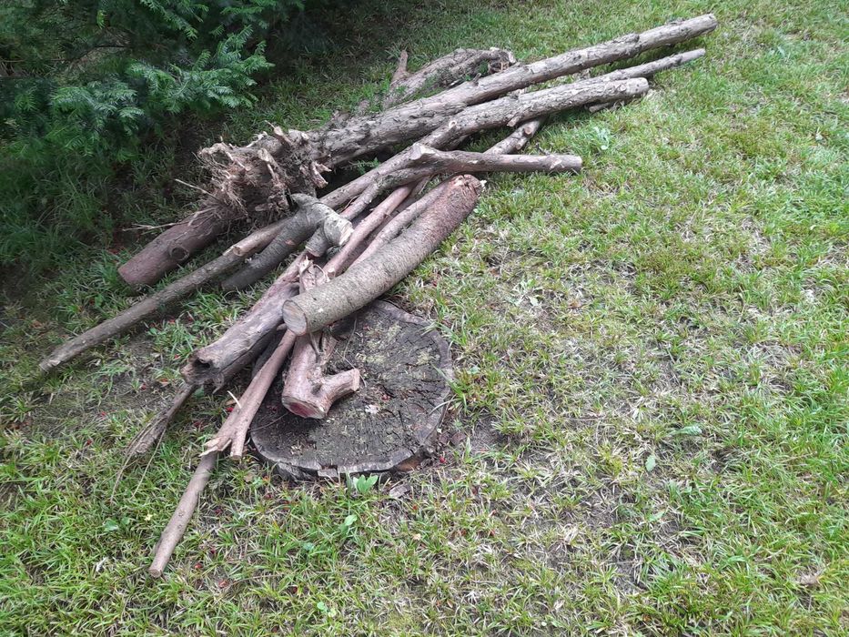 Oddam drewno na opał