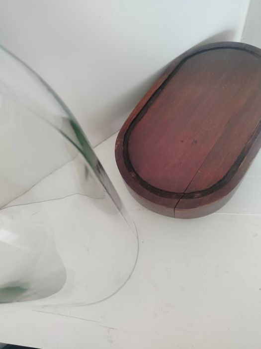 Szklana owalna kopuła wiktoriańska