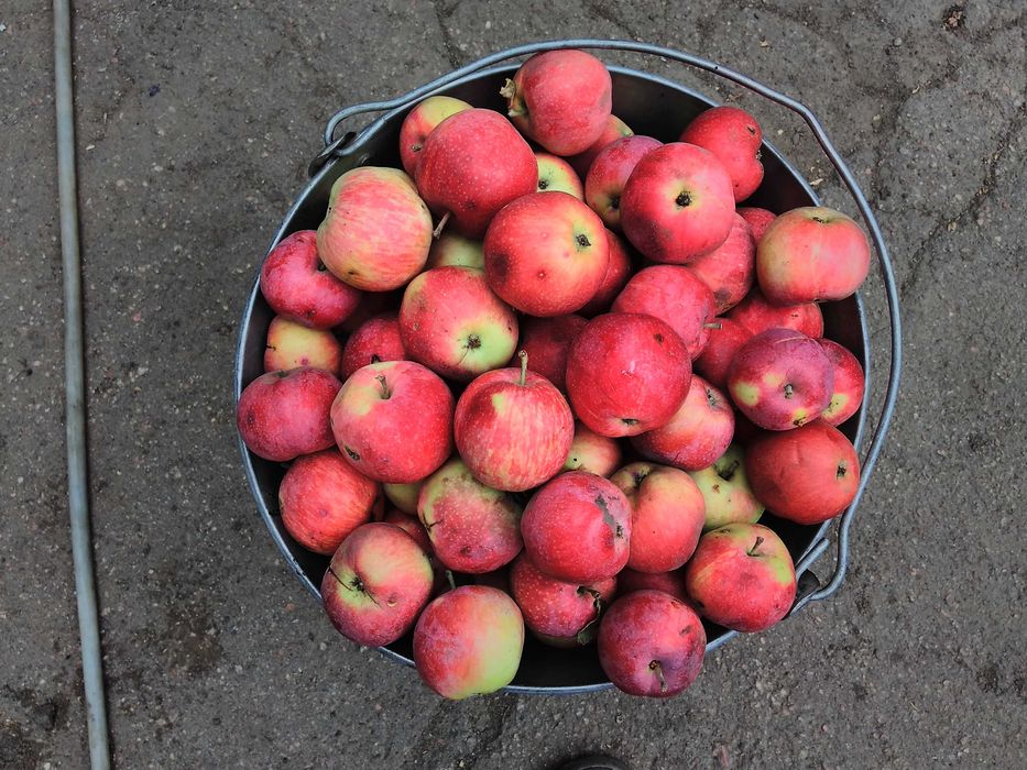 Уксус яблочный .