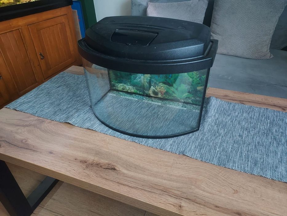 Używane akwarium ok 25l