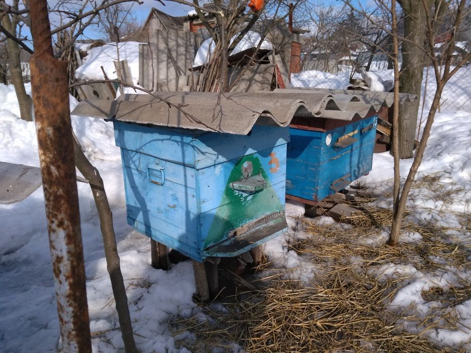 Продам рамки бджолині б/в із натягнутою проволокою.