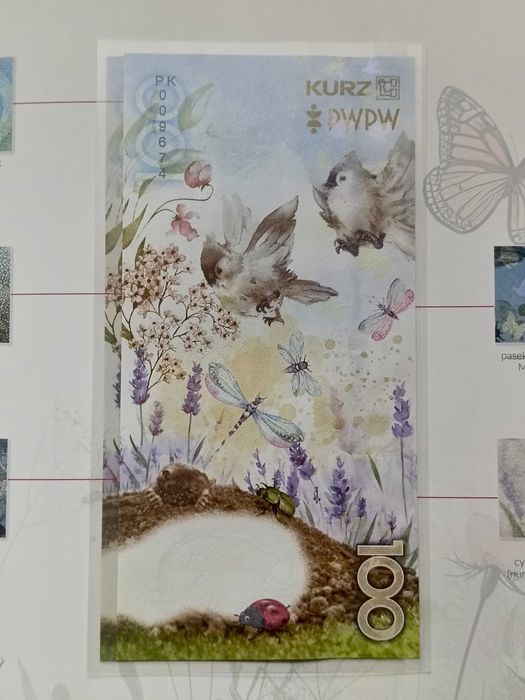 BANKNOT TESTOWY - ŁĄKA 100 + kwartalnik nr. 78