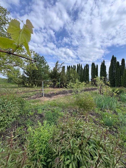 № 13393 - Продаж цегляного будинку, с.Ліщин!