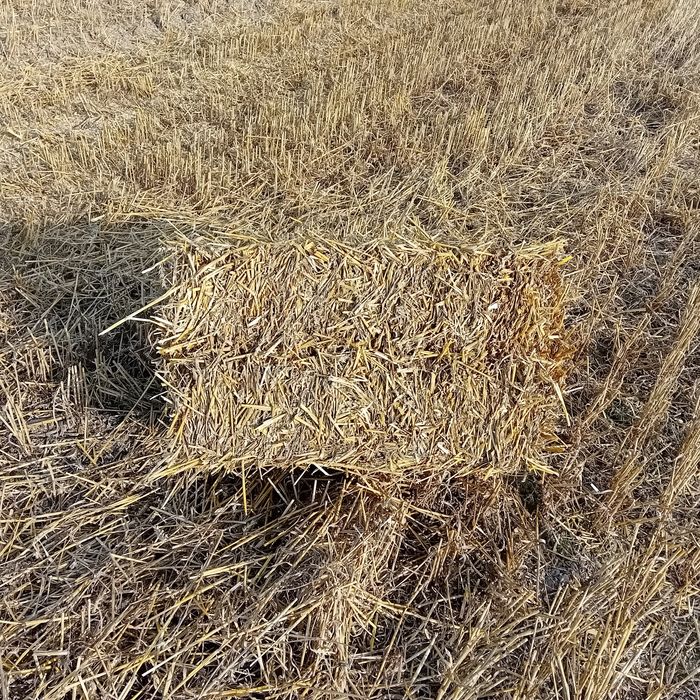 Słoma w małych kostkach