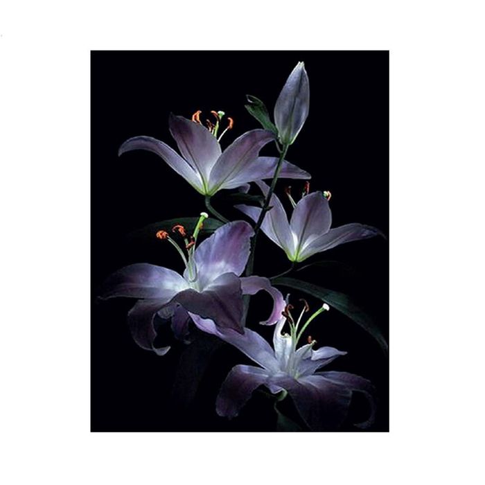 Diamond painting haft diamentowy  - lilie (1583)