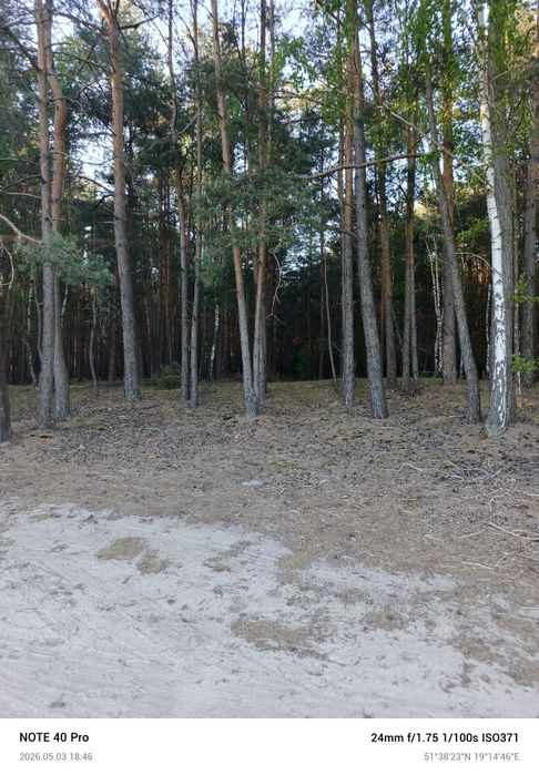 Sprzedam działki budowlano-rolne i leśne  Feliksów gmina Poddębice i Przyrownica gm. Wodzierady - Widok 2