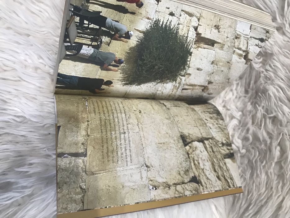 Livro: Jesus de Rodrigo Alvarez - Porto Editora - Novo-nunca utilizado