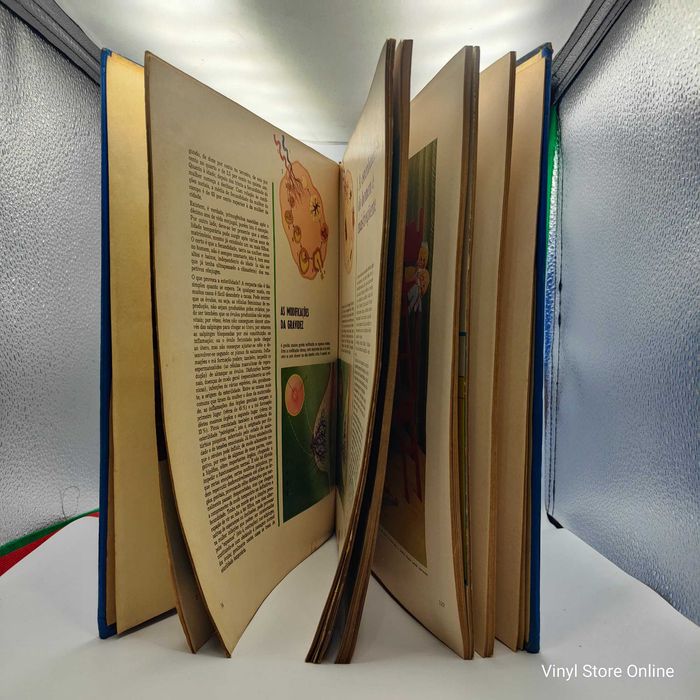 Livro - Meu Filho Meu Herdeiro - Ref: Mont