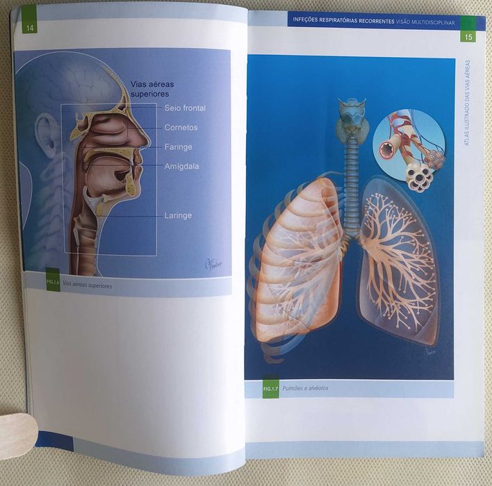 Infeções Respiratórias Recorrentes - Visão Multidisciplinar