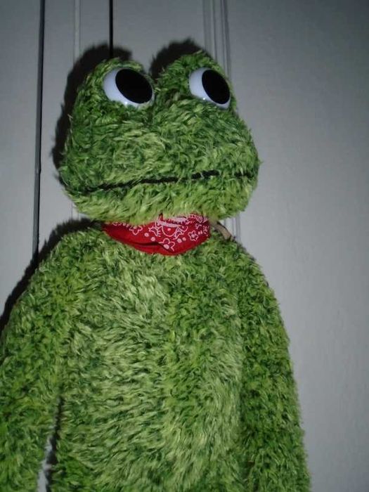 Peluche sapo comprido e engraçado