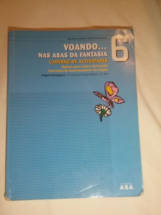 Manual + CAtiv - "Flying on the Wings of Imagination" Portuguese, 6th Grade64575286441601122