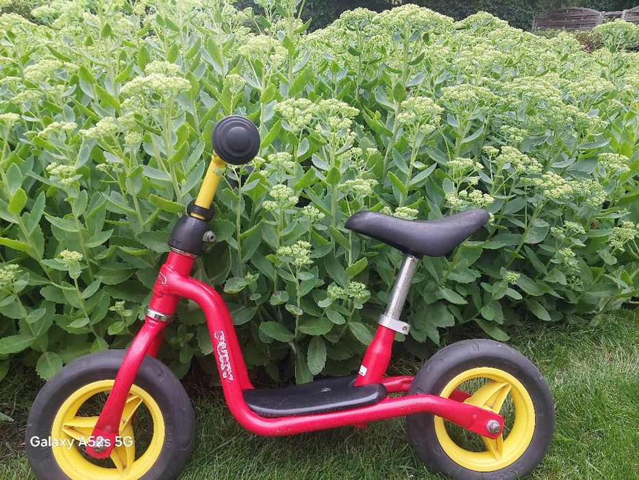 Rowerek biegowy Puky LR M