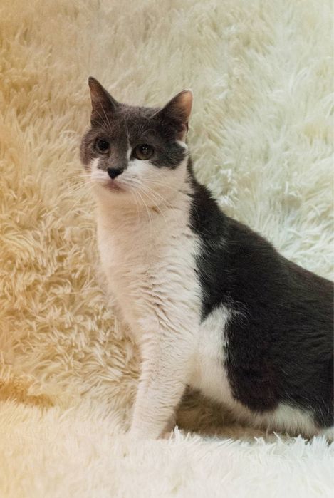 Скромная и красивая Санни ищет домик!