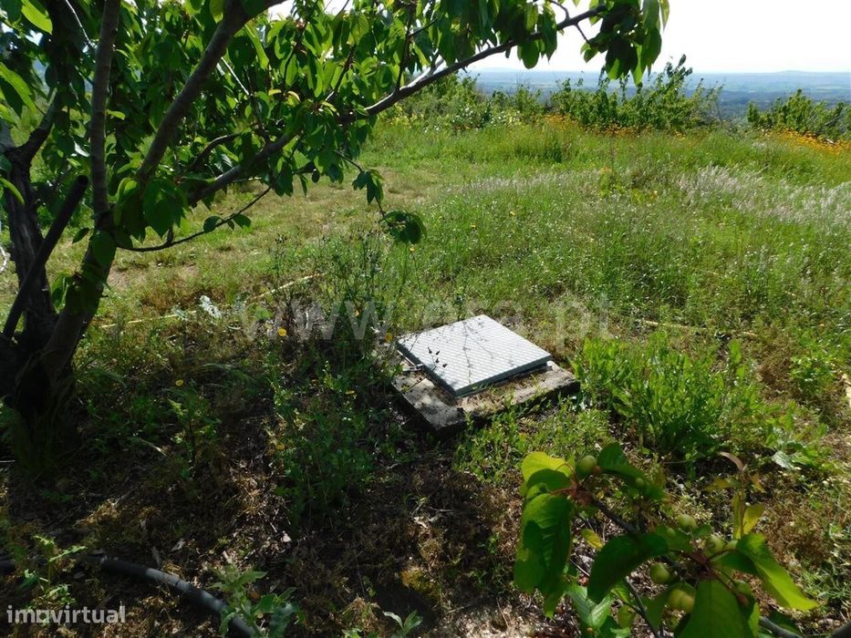 Quintinha / Fundão, Alpedrinha