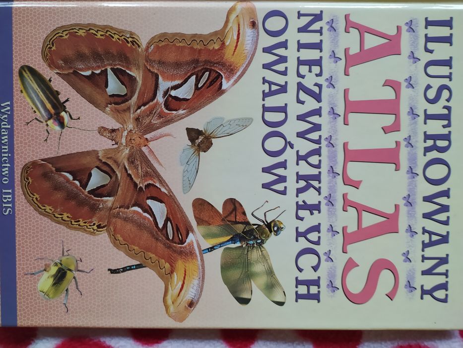 Atlas niezwykłych owadów.