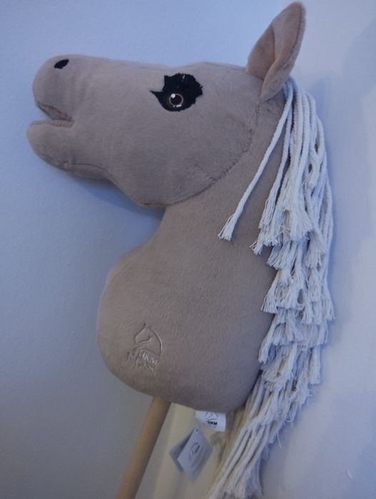 Hobby horsing hobby