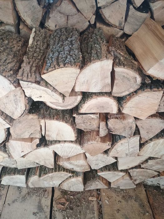 Дрова твердих порід