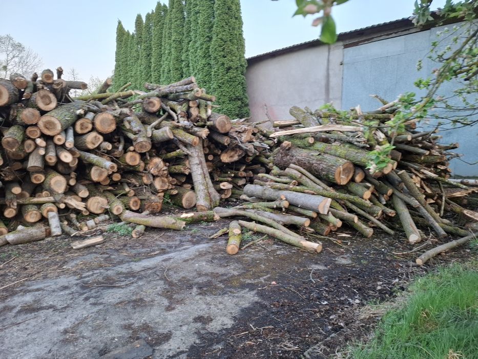 Sprzedam Drewno opalowe