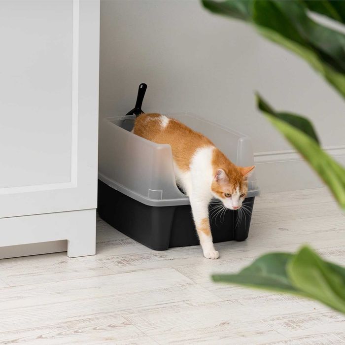 ENVIO GRÁTIS- Caixa de areia para gatos, cat litter box 48,5x38x30,5cm