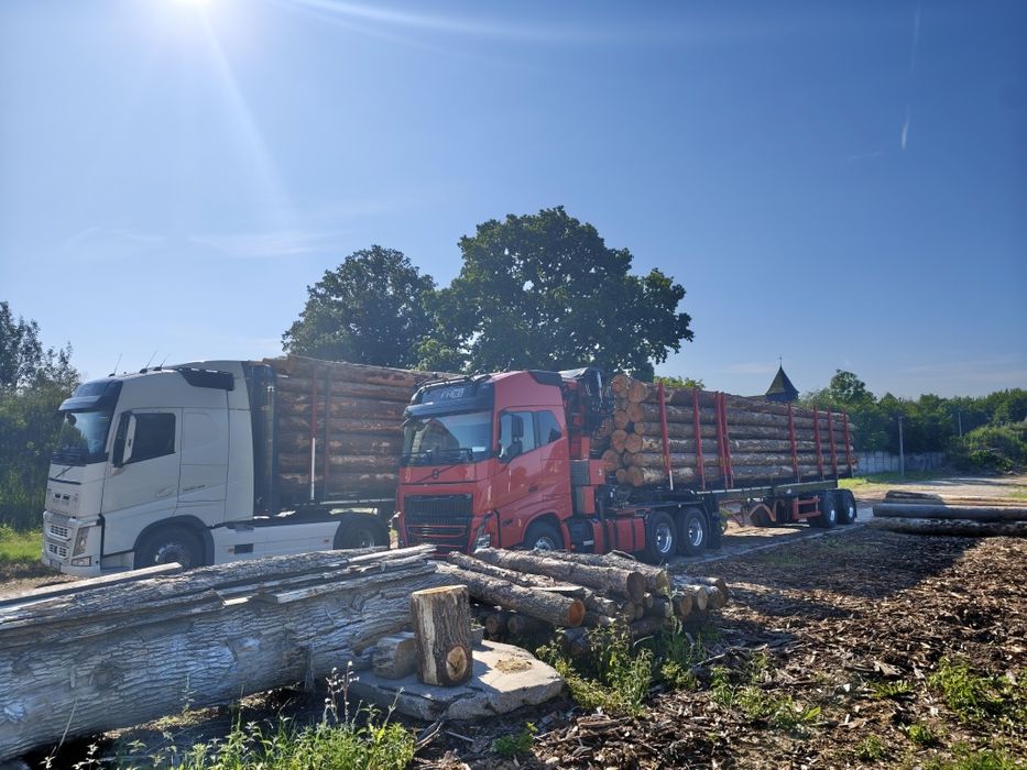 transport drewna hds dłóżyca kłoda Niemcy Czechy