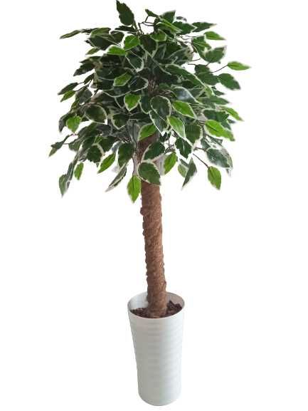 Fikus Sztuczne Drzewko Beniamin Benjamin Kwiat 100